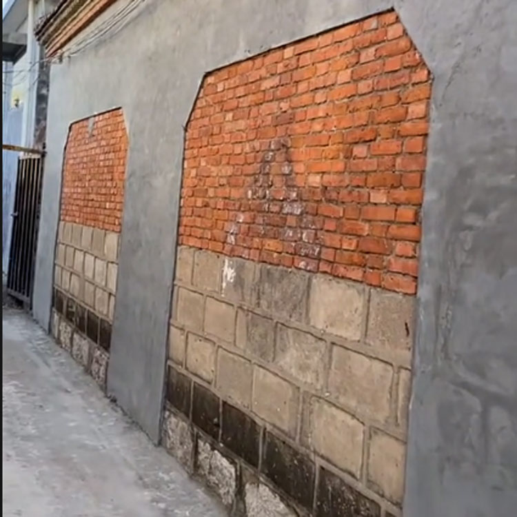 1703138584712321.jpg 413.jpg