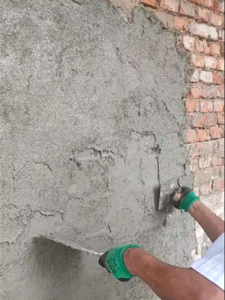 1703140424815880.jpg 411.jpg